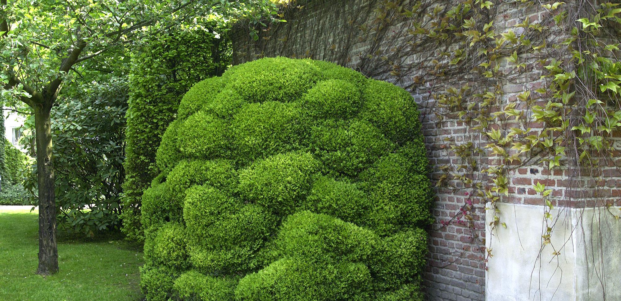 klassieke villatuin brasschaat