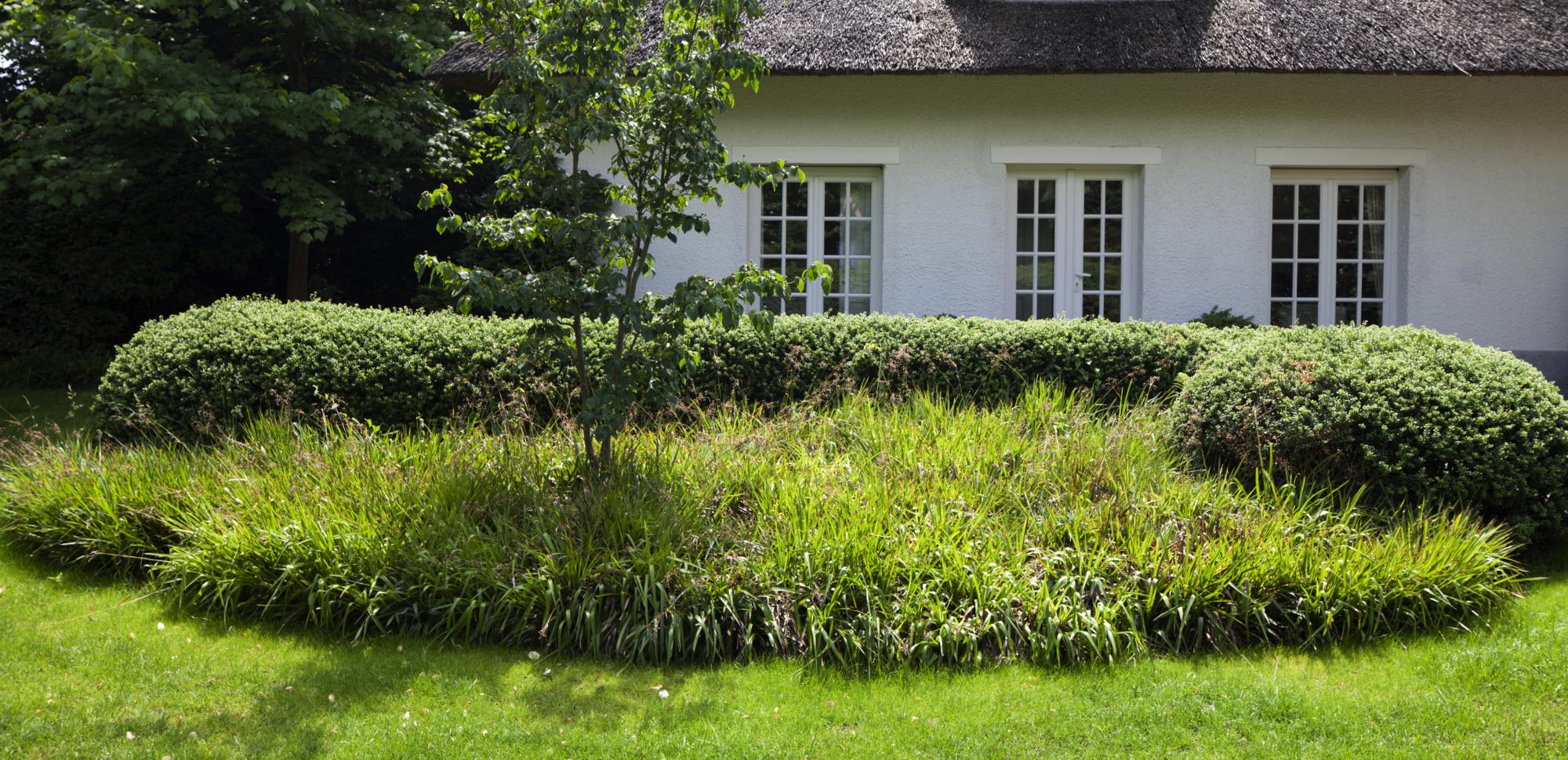 kleine tuin brasschaat