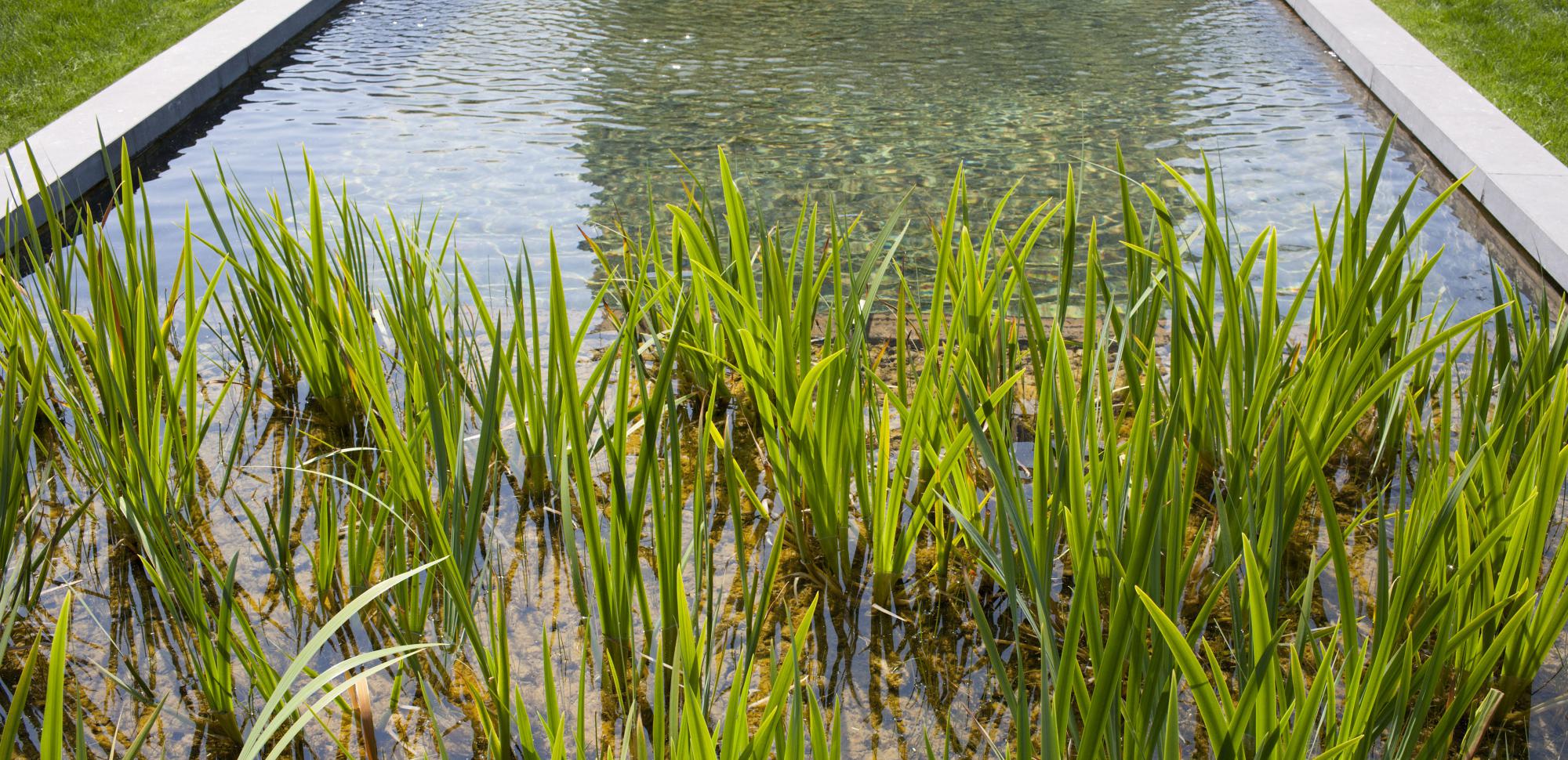 kleine tuin oud turnhout