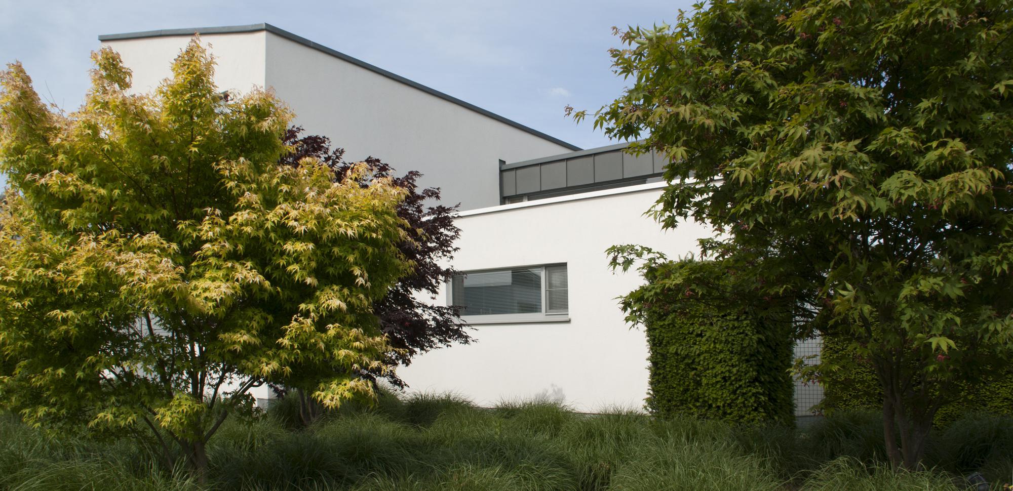 kleine tuin oud turnhout