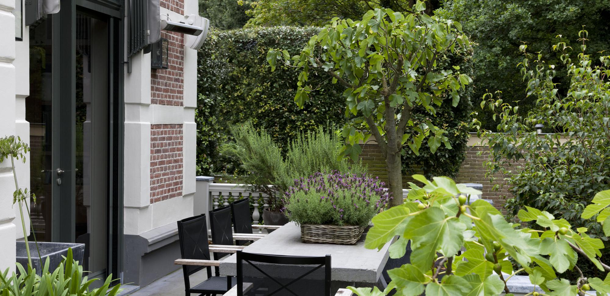 kleine tuin 's gravenhage