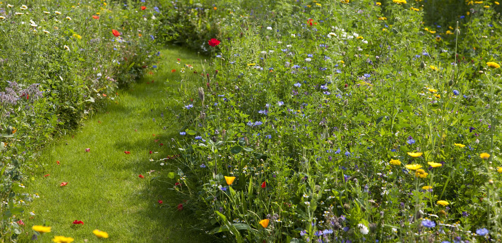 landschapstuin boechout