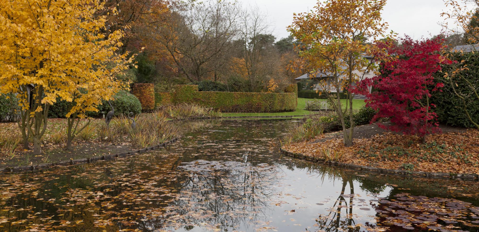 landschapstuinen brasschaat