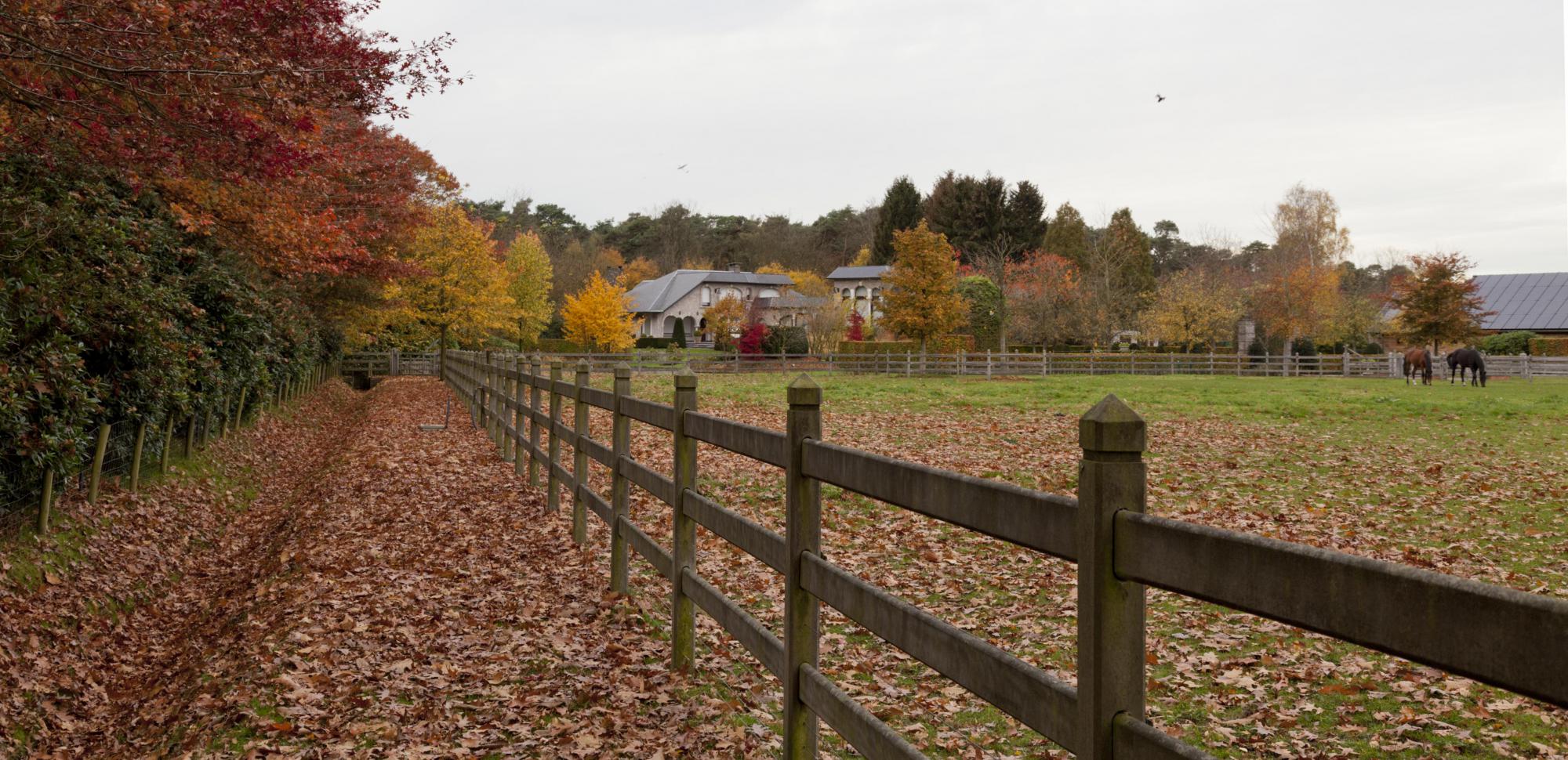 landschapstuinen brasschaat