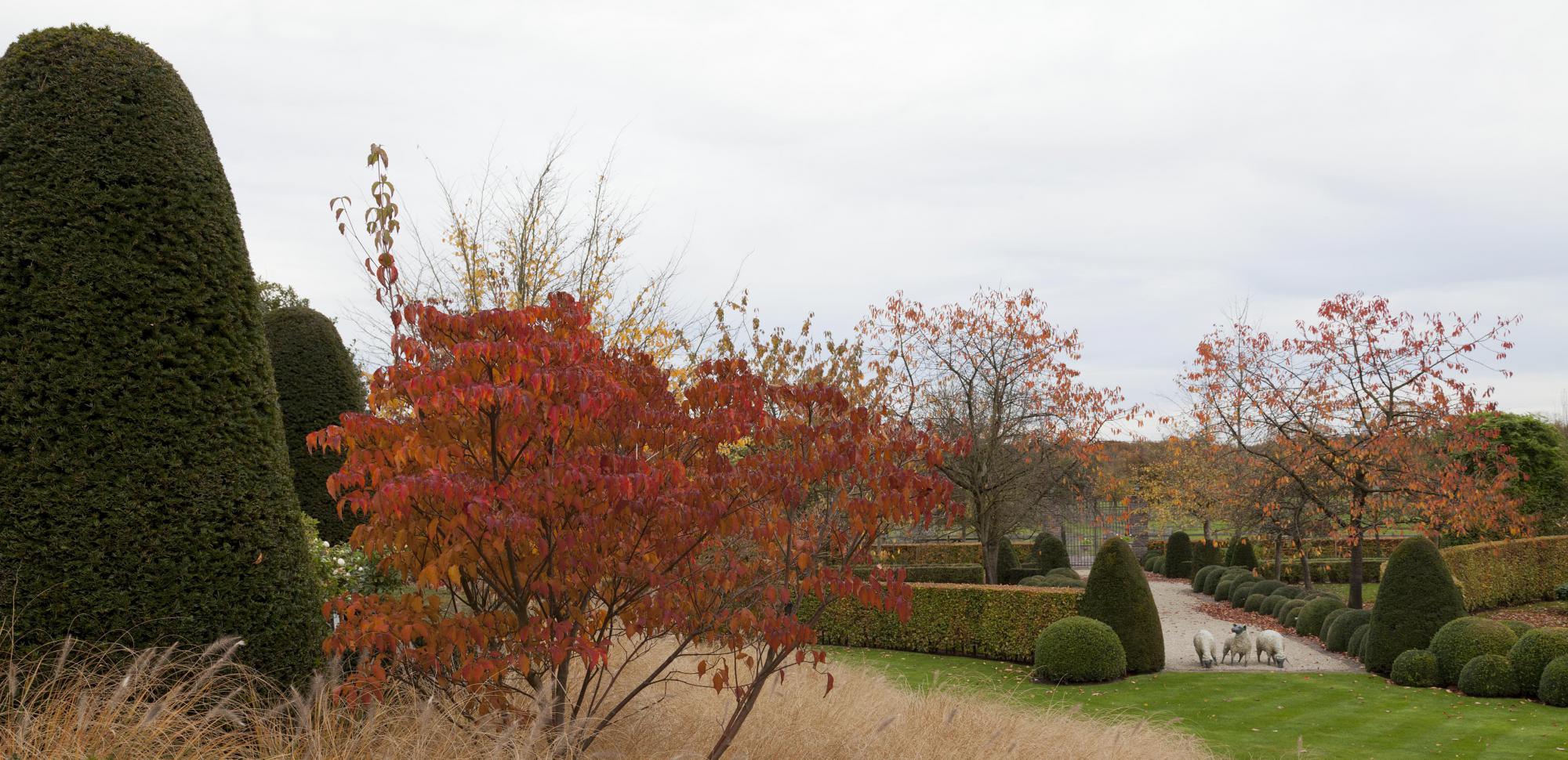 landschapstuinen brasschaat