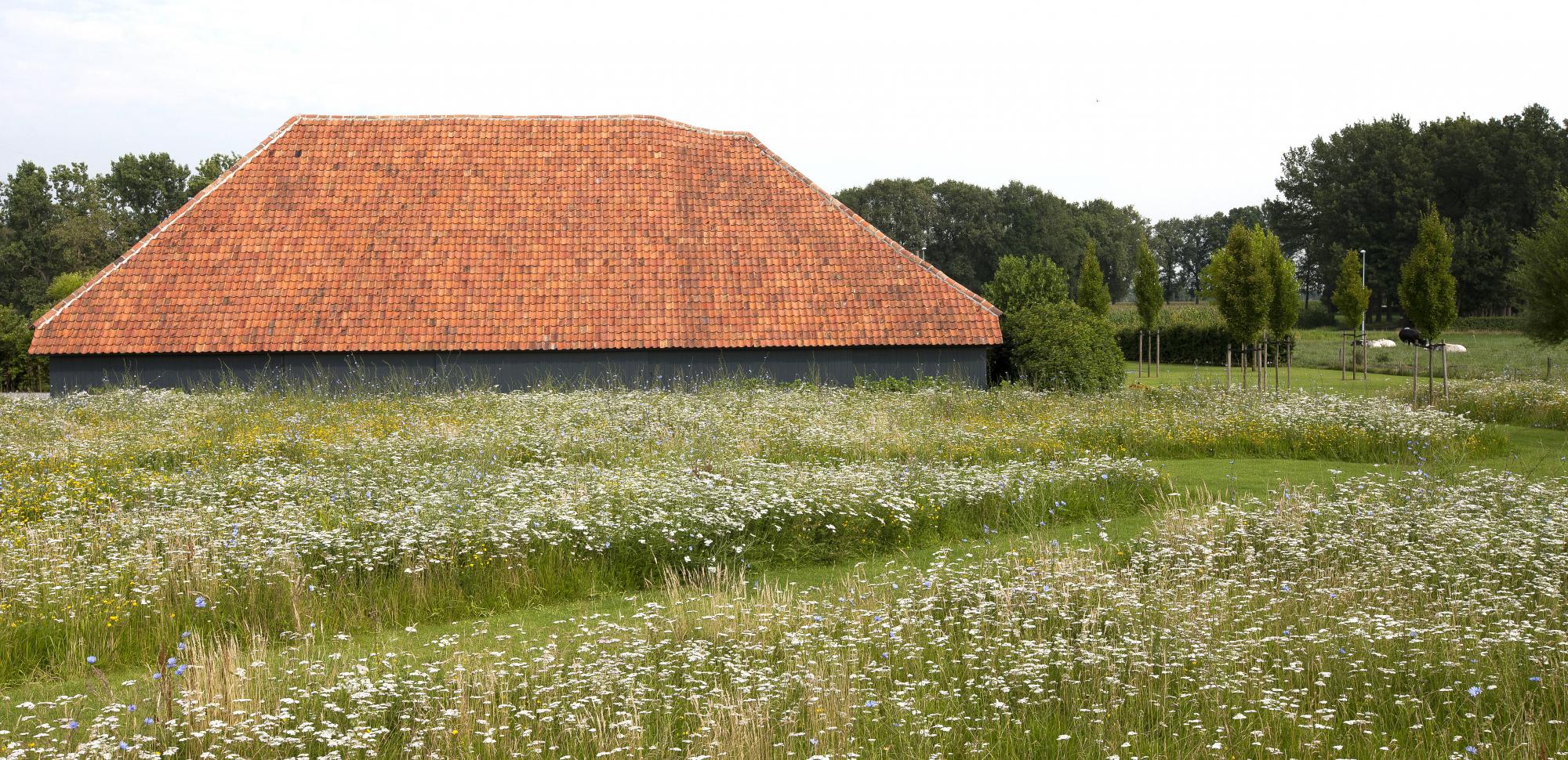 landschapstuinen wortel