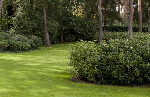 tuinaanleg schaduwgazon Jan Joris TuinArchitectuur