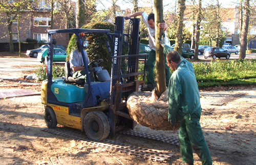 tuinaanleg planten boom Jan Joris TuinArchitectuur