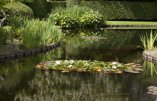 tuinaanleg natuurlijke zwemvijver Jan Joris TuinArchitectuur