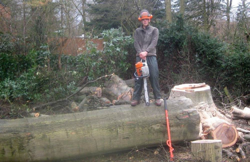 tuinaanleg rooien van bomen Jan Joris TuinArchitectuur