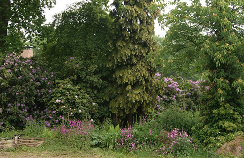 tuinonderhoud eenmalige opknapbeurt JanJoris TuinArchitectuur