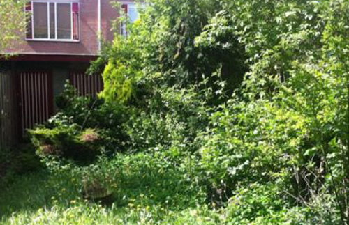 tuinonderhoud eenmalige opknapbeurt JanJoris TuinArchitectuur