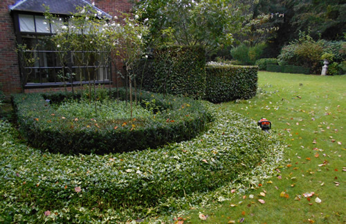 tuinonderhoud eenmalige opknapbeurt JanJoris TuinArchitectuur