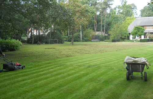 tuinonderhoud gazon onderhoud - garden comfort Jan Joris TuinArchitectuur