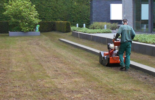 tuinonderhoud gazon verticuteren - garden professional Jan Joris TuinArchitectuur