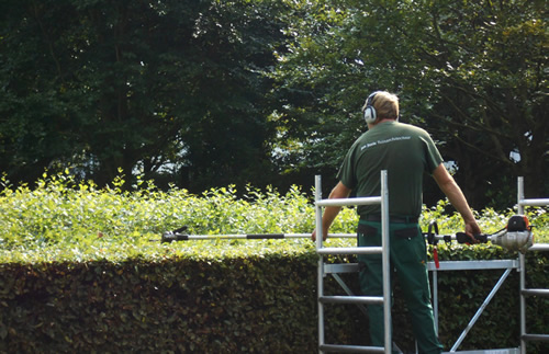 tuinonderhoud garden grote hagenrijen snoeien - professional Jan Joris TuinArchitectuur