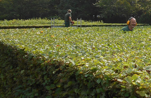 tuinonderhoud garden service Jan Joris TuinArchitectuur